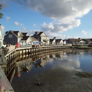 obx shops