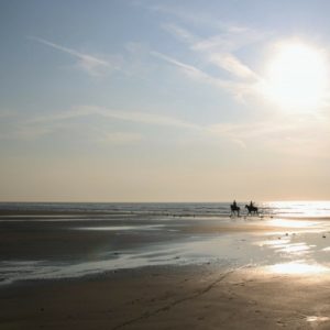 horses on the beach