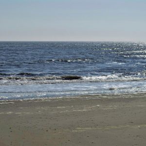Outer Banks Ferry Trips